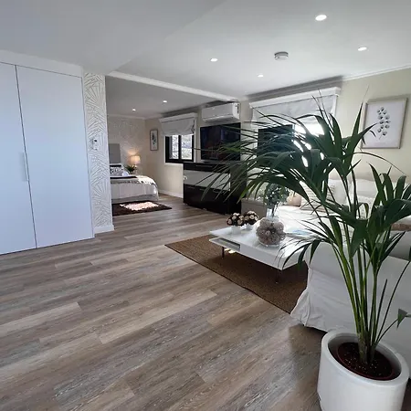 New Luxury Penthouse Mencey Apartament