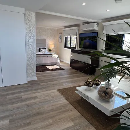 Apartament New Luxury Penthouse Mencey *